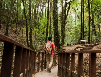 hiker-walking-wooden-bridge